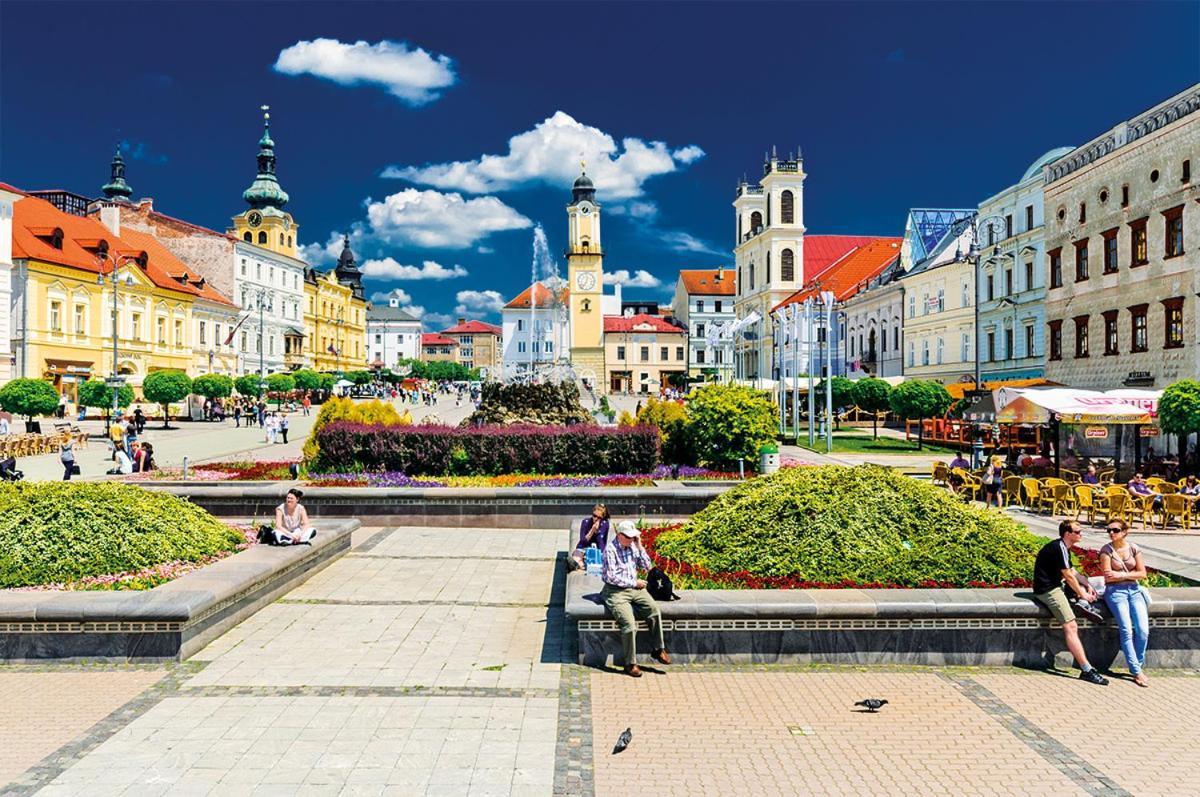 Apartman Terminal, Self Check-In 24 H, Free Parking Banská Bystrica Exterior foto
